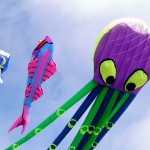 kites8