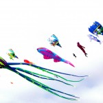 kites6