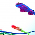 kites3