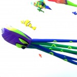 kites4