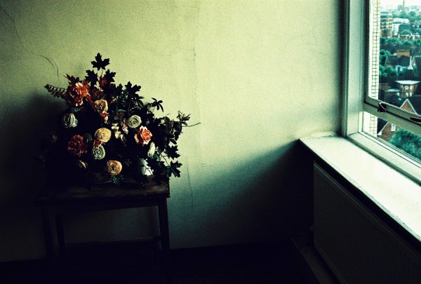 flowerwindow