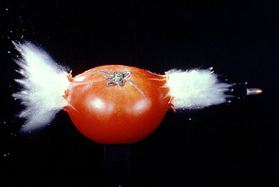 tomato