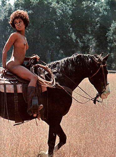 horsie
