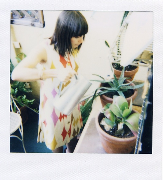 amy+plants