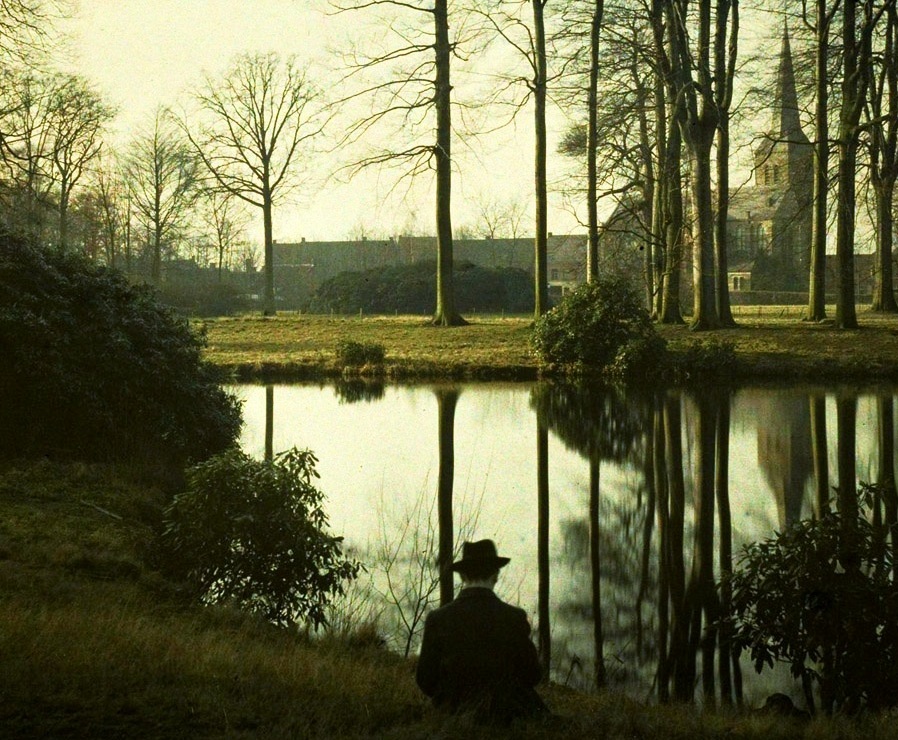woods