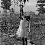 Lakou de Souvenance, Haiti, 2001.