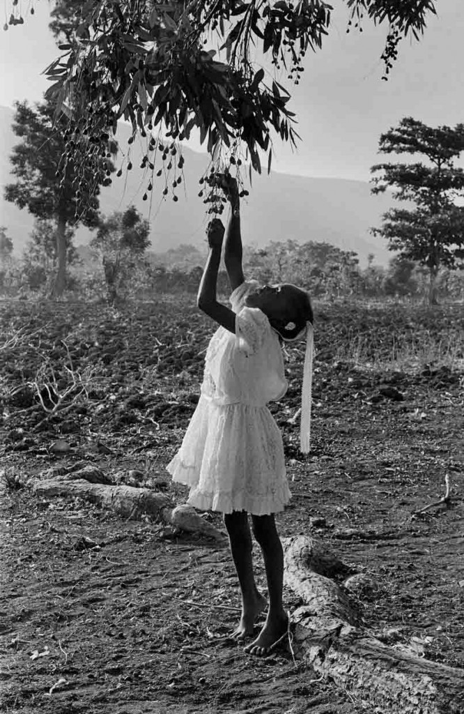 Lakou de Souvenance, Haiti, 2001.