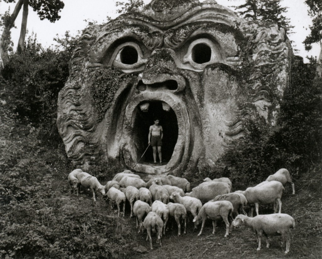 sheep